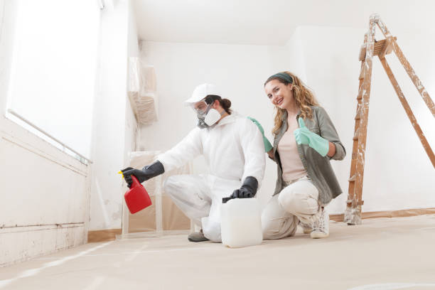 Best Commercial Mold Inspection  in Schriever, LA